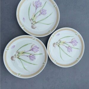 Mikasa natures garden saucer plates